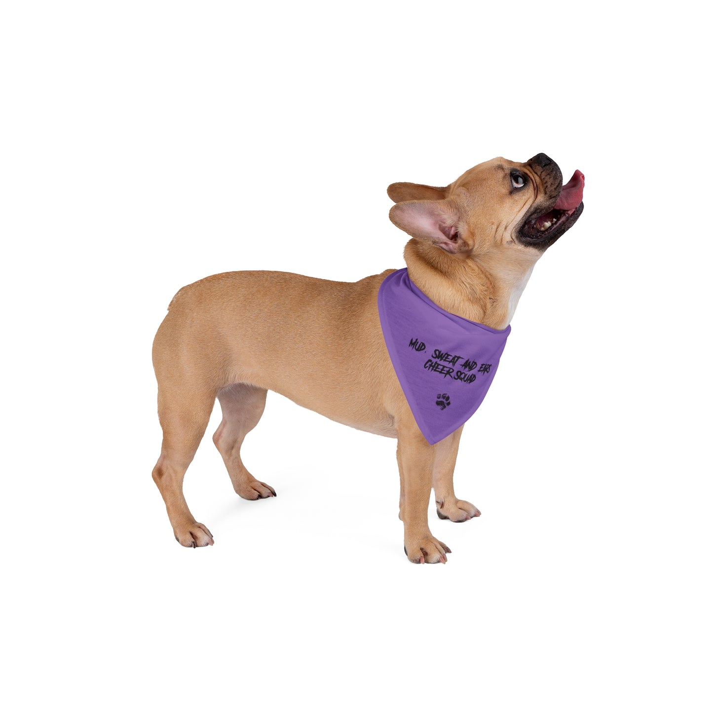 2 Mudd, Sweat, &  Ears Cheer Squad Pet Bandana