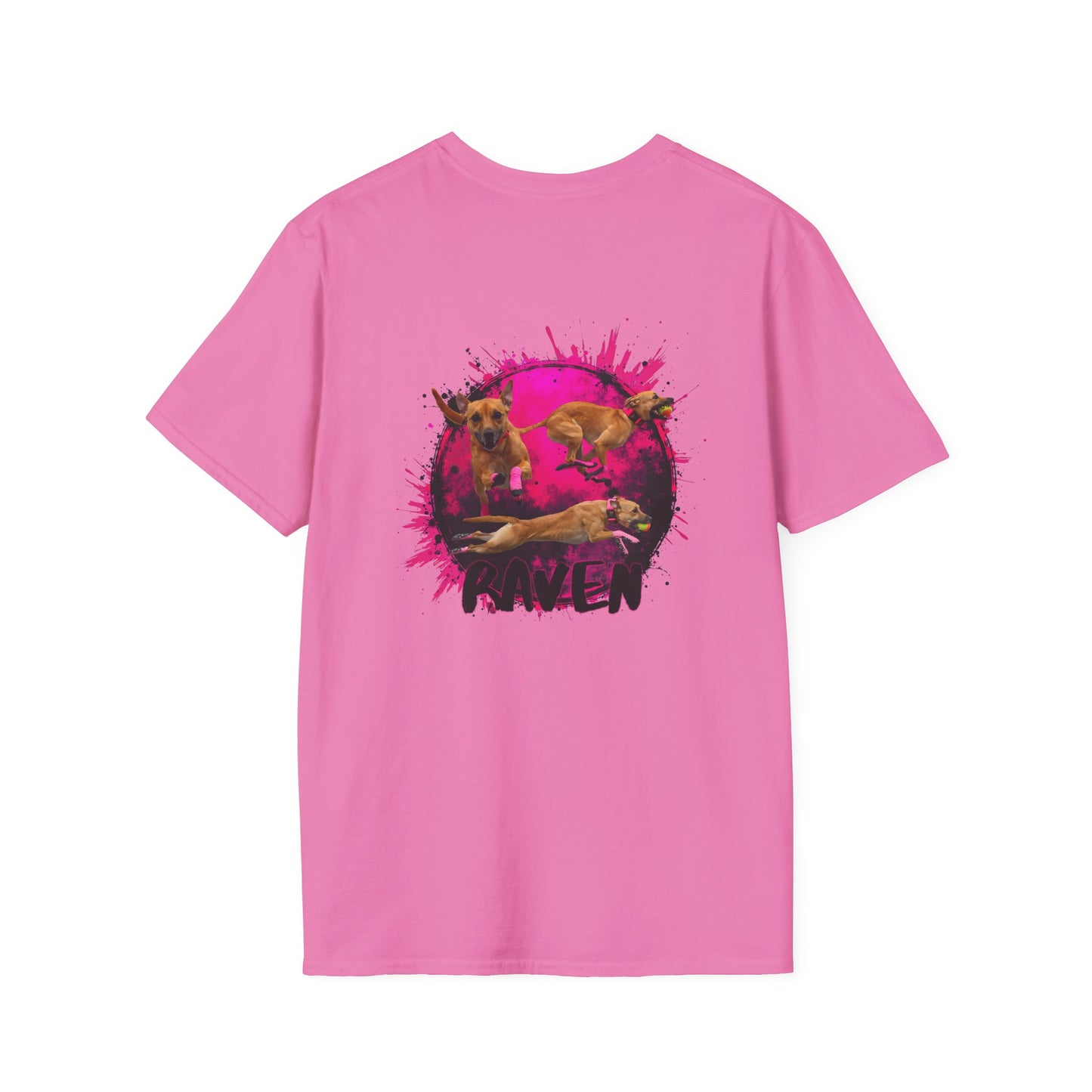 RAVEN Unisex Softstyle T-Shirt