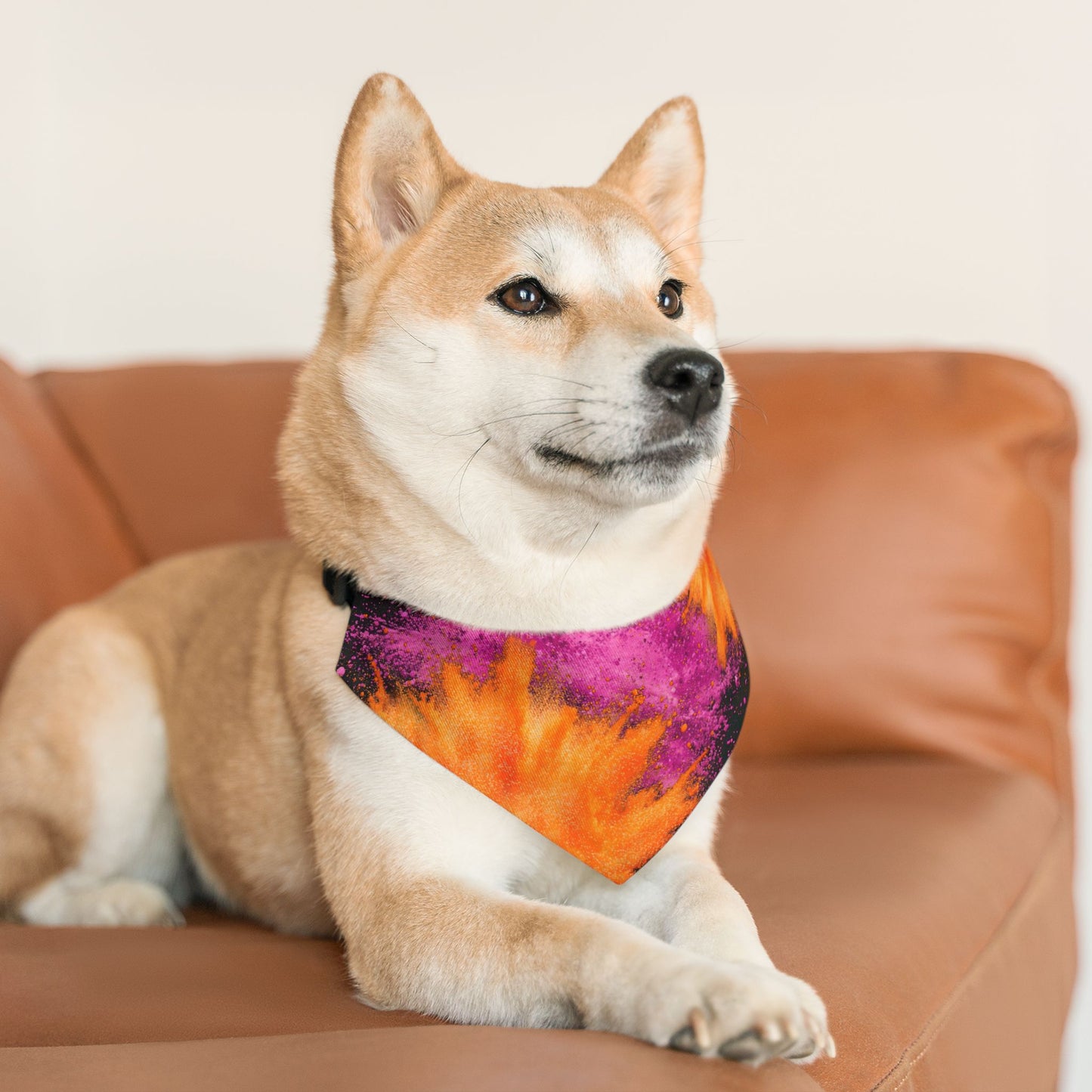 PINK ORANGE POWDER  Pet Bandana Collar