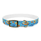 Summer Fun Floaties Dog Collar