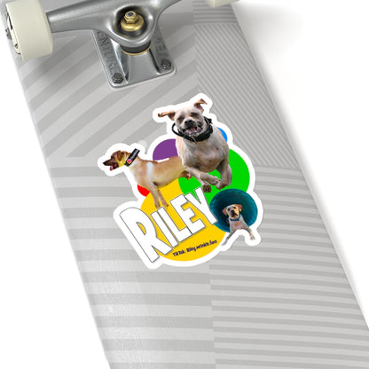 RILEY STICKER