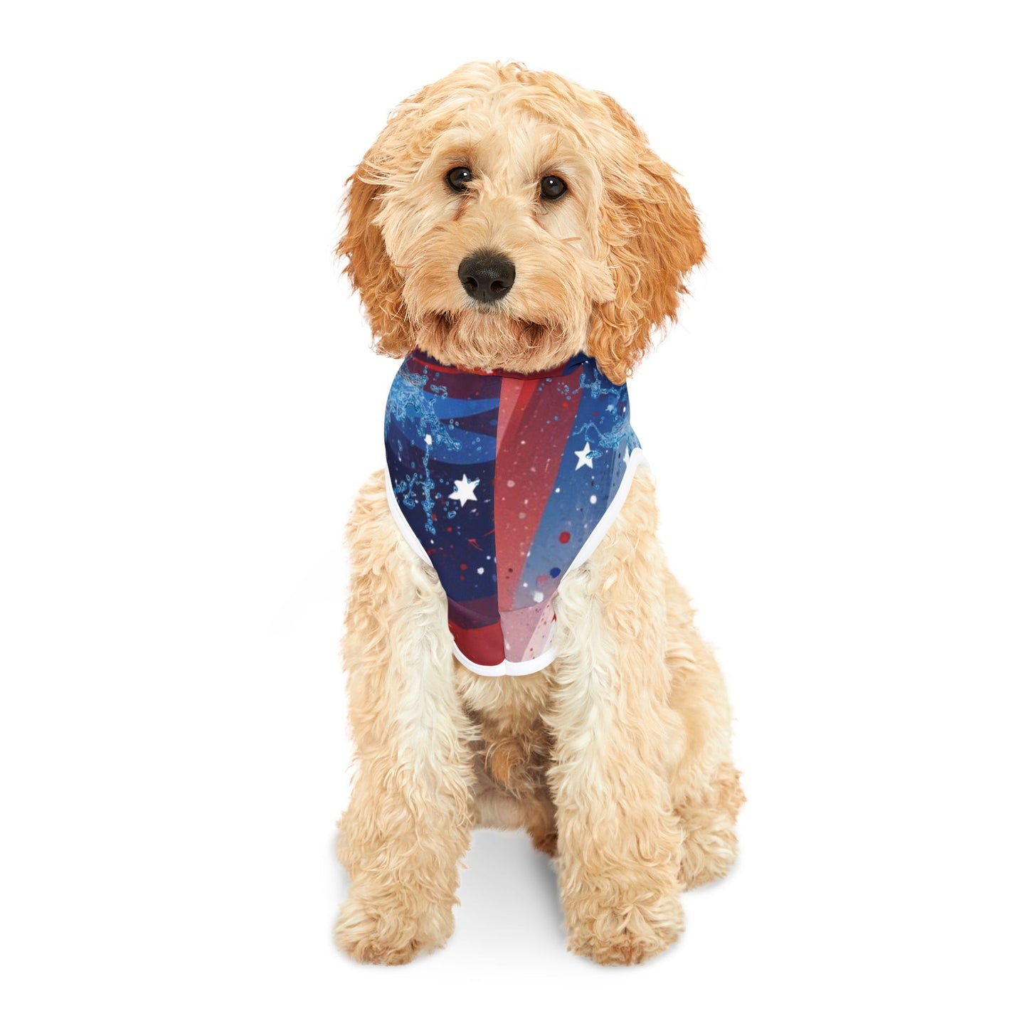 VENTURE JOURNEY Pet Hoodie