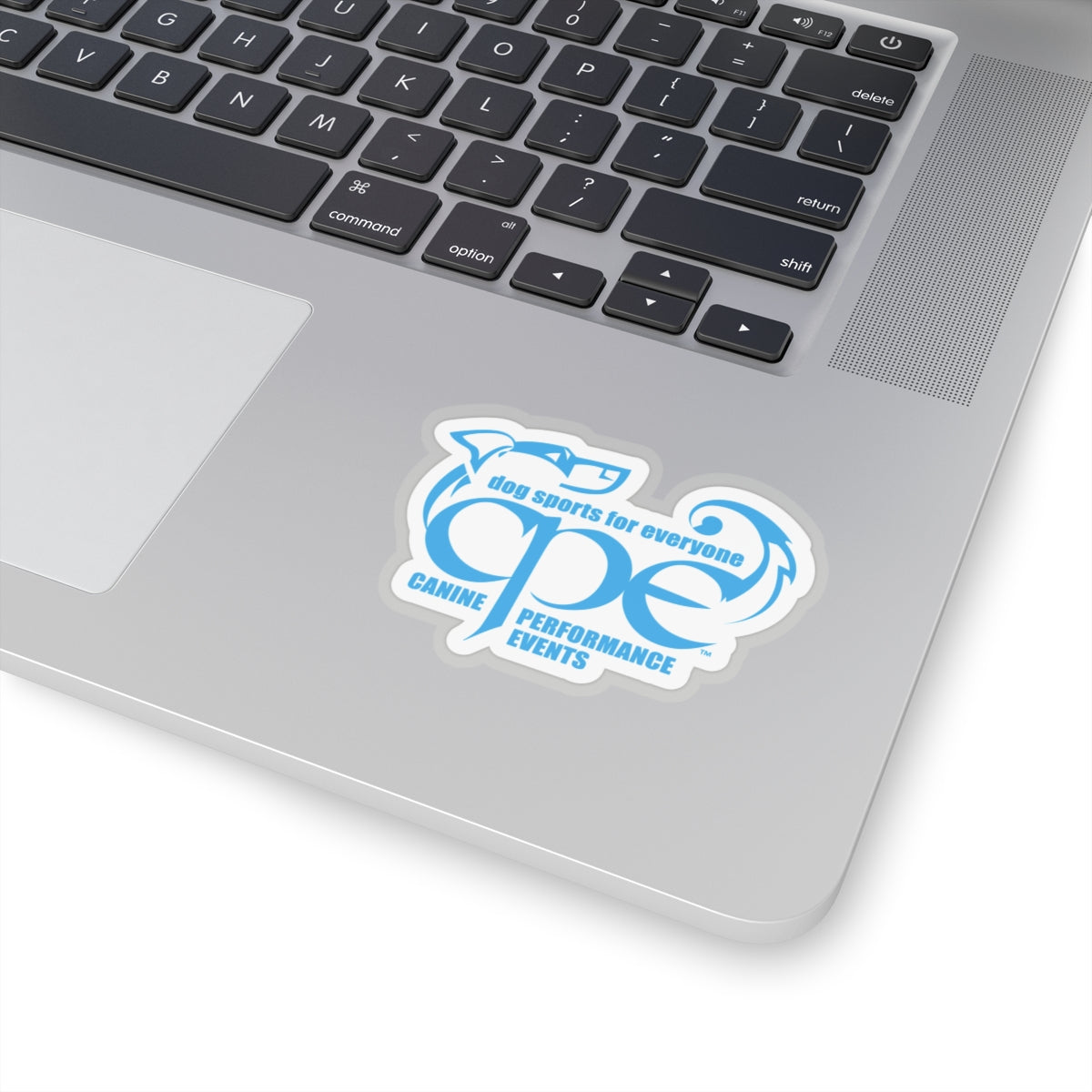 CPE BLUE   Stickers