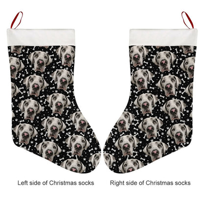 FACE w PAWS-n-BONES Christmas Stocking