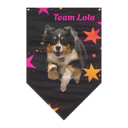 CHOOSE BACKGROUND! CUSTOM PINK ORANGE  BANNER