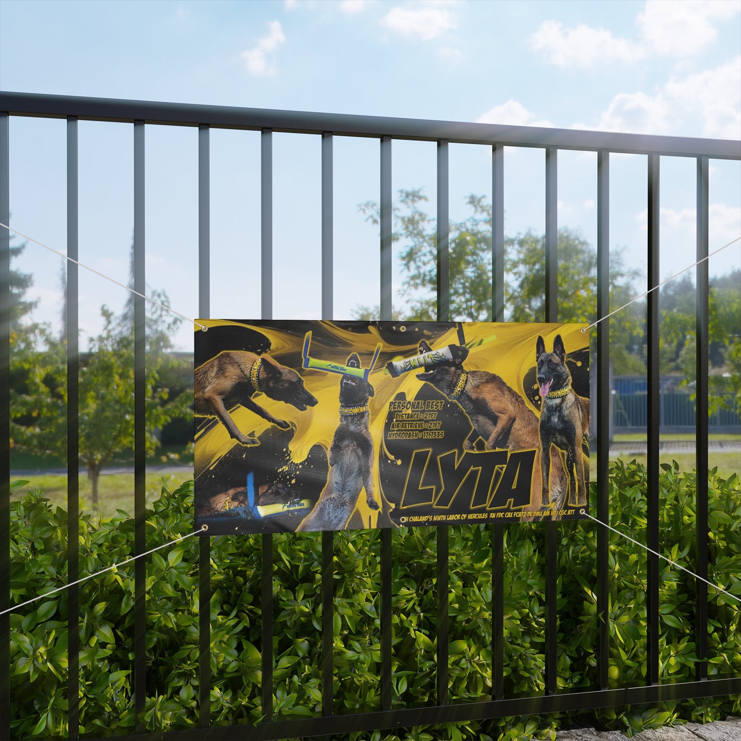 LYTA Matte Banner