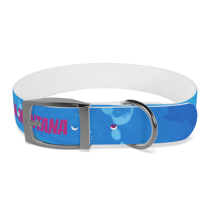 MONTANA NADD Dog Collar