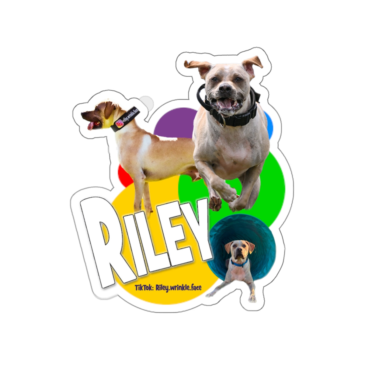 RILEY STICKER β DZK9 Designs