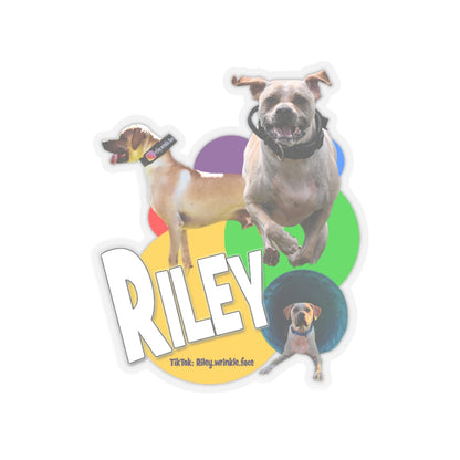 RILEY STICKER