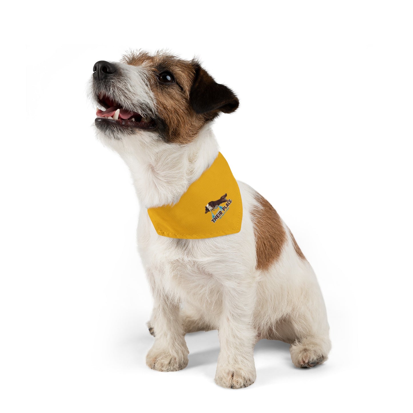 GOLD *AKC AGILITY LEAGUE Pet Bandana Collar