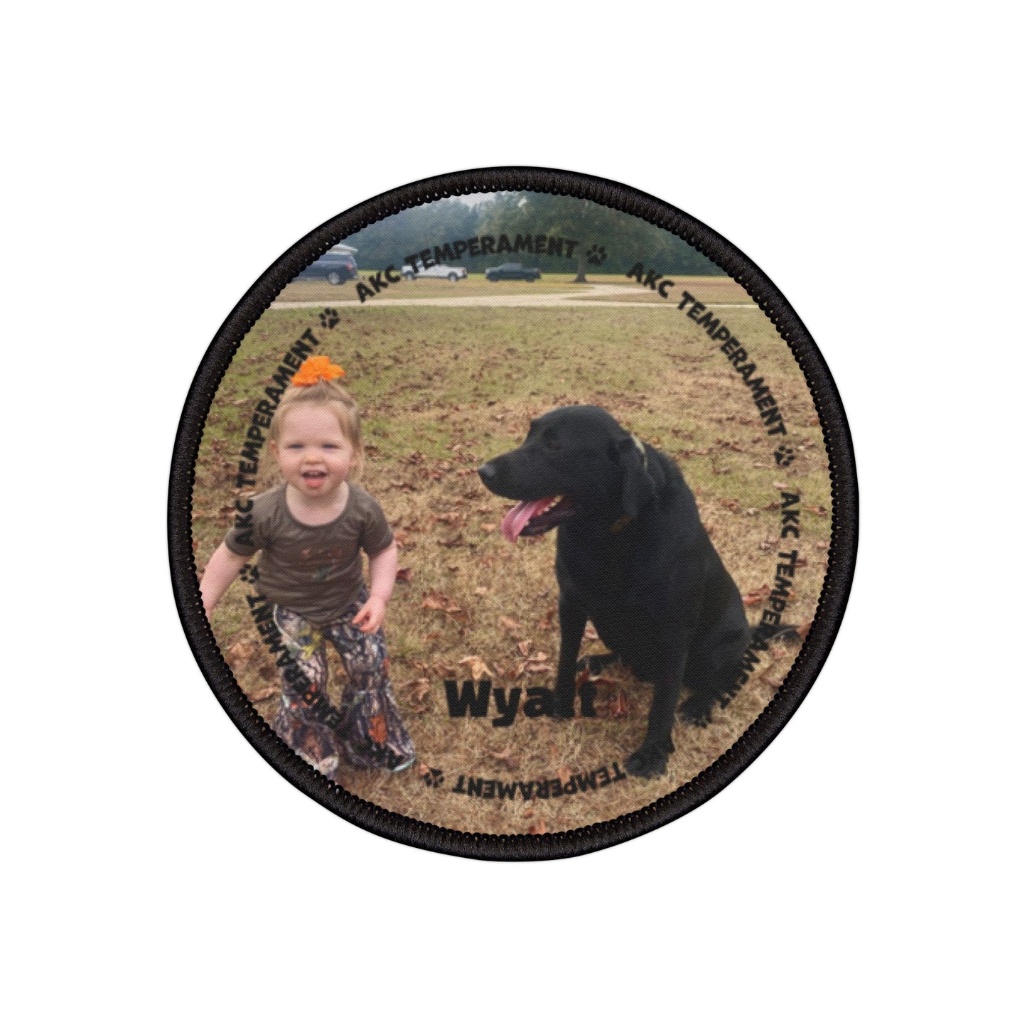 Wyatt TEMP dash  Iron-On Patches