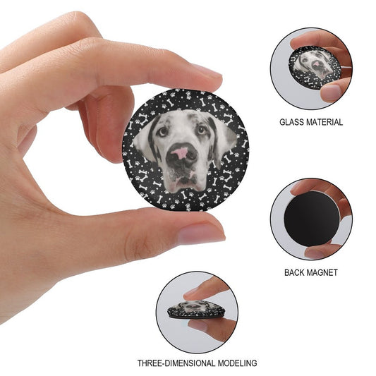 FACE w PAWS-n-BONES Glass Magnetic Refrigerator Magnets