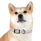 HOLIDAY LIGHTS Dog Collar