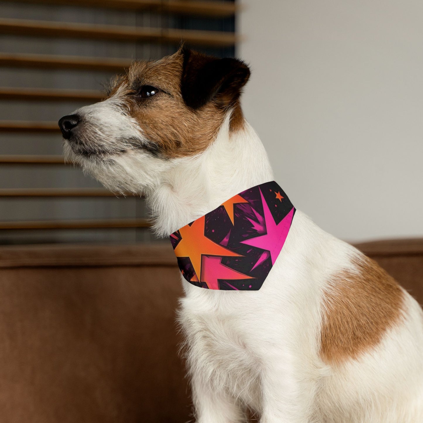 PINK ORANGE SUPER STARS Pet Bandana Collar