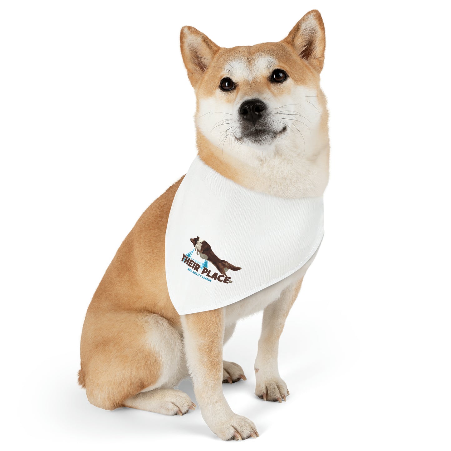 AKC AGILITY LEAGUE Pet Bandana Collar