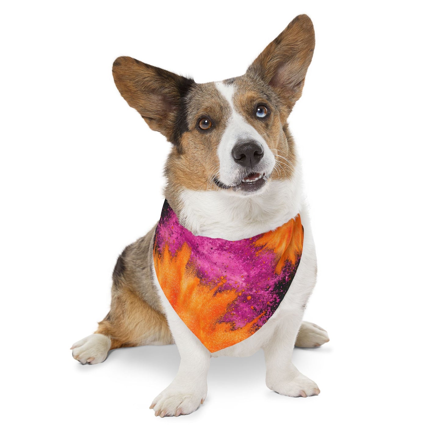 PINK ORANGE POWDER  Pet Bandana Collar