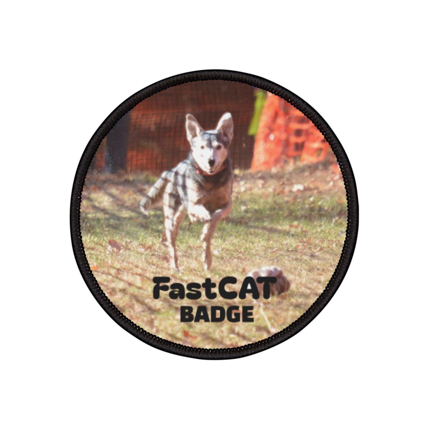2 FastCat Badge Iron-On Patches