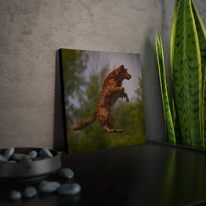 BOOMER Canvas Photo Tile