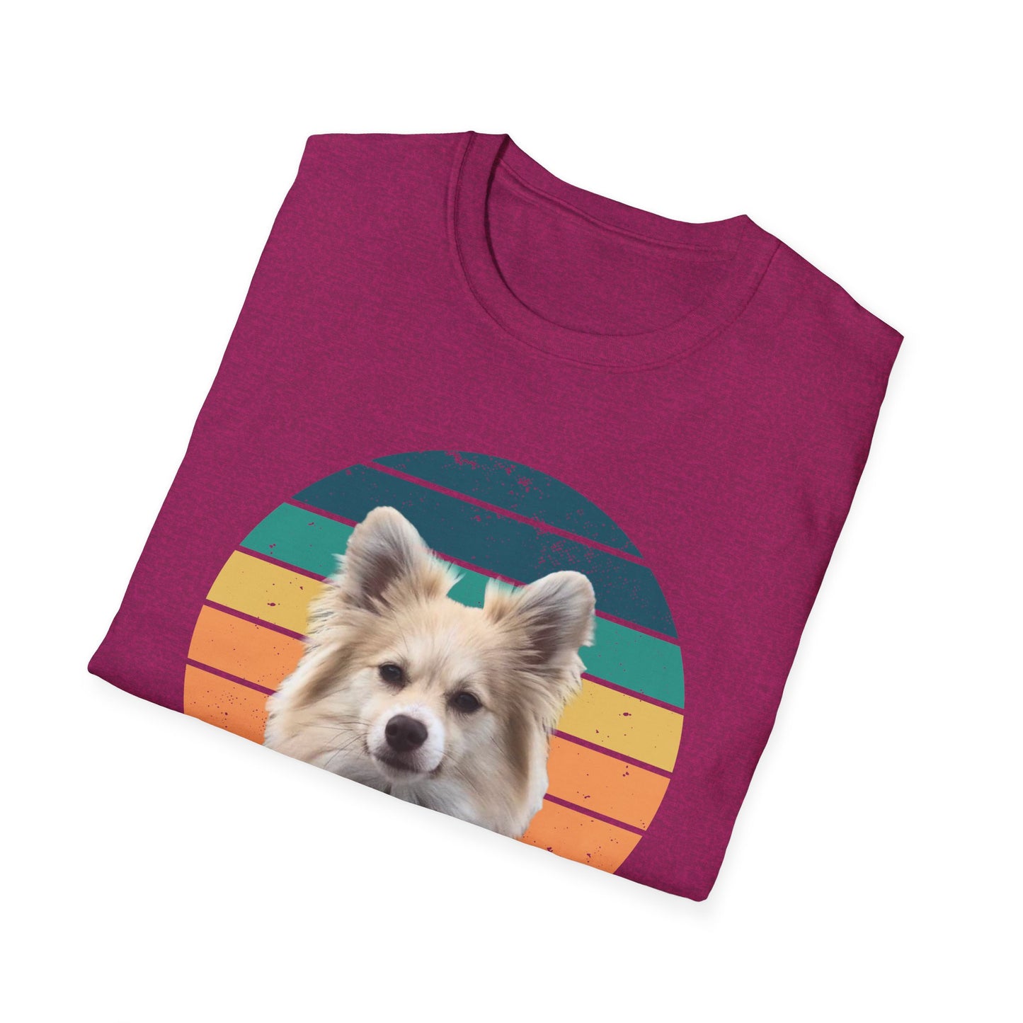 RETRO SUNSET DEXTER Unisex Softstyle T-Shirt