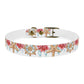 Starfish n Wheel Dog Collar