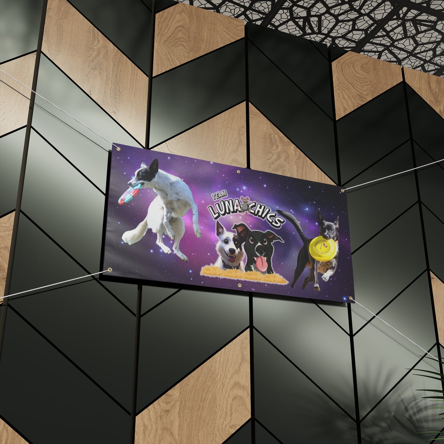 LUNA CHICS Matte Banner