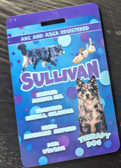 BAG TAG - TRADING CARD