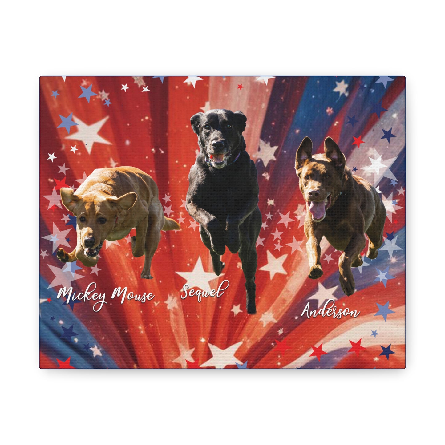 ANDERSON & FRIENDS Canvas Gallery Wraps