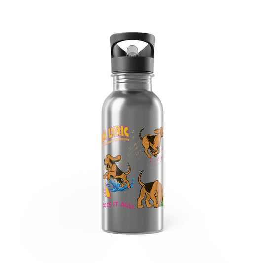 TEAM LYRIC Stainless Steel Water Bottle With Straw, 20oz