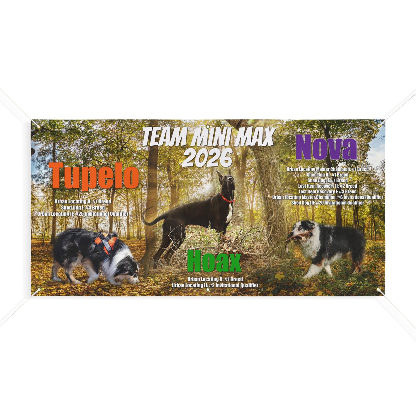 TEAM MINI MAX  Banner
