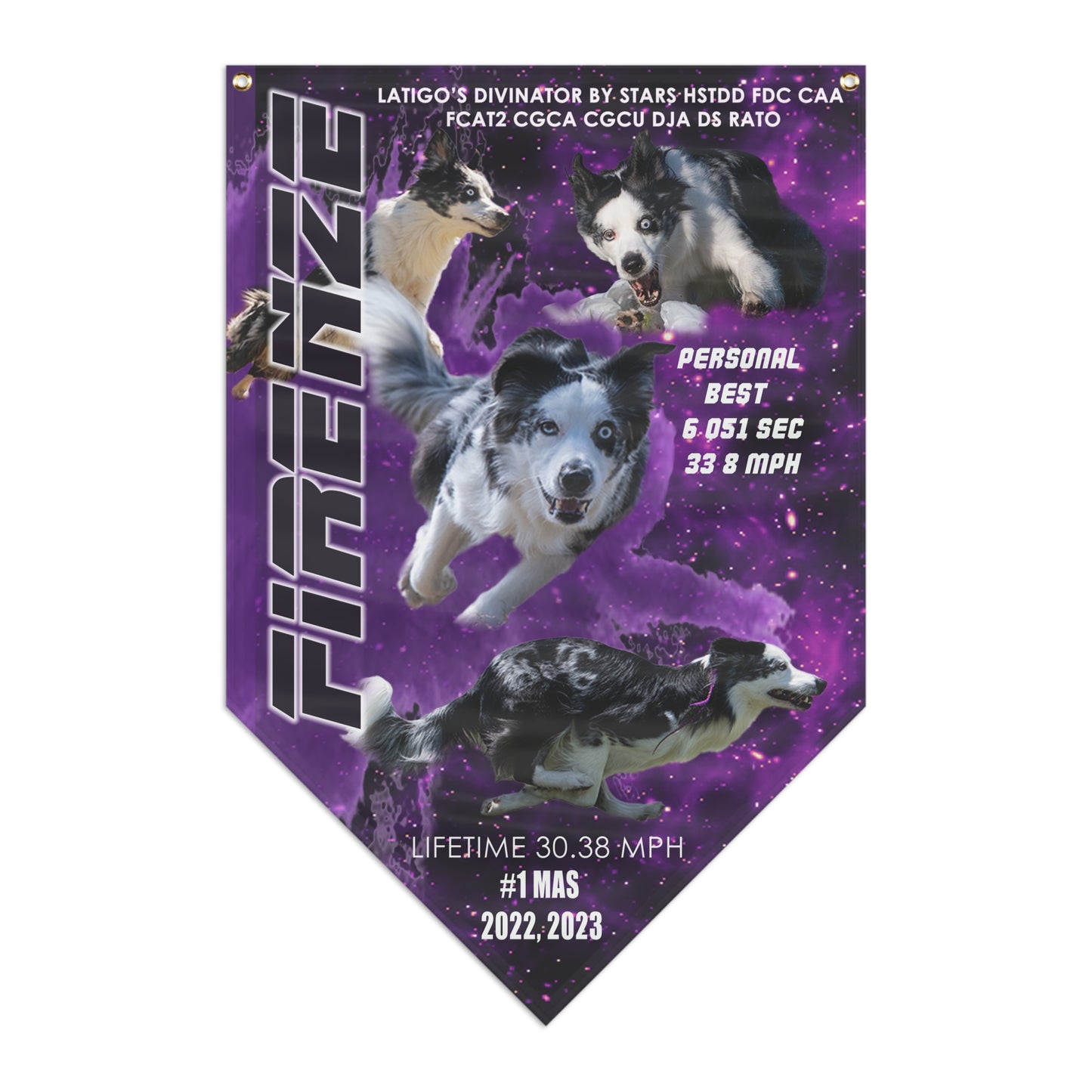 FIRENZE Pennant Banner