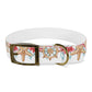 Starfish n Wheel Dog Collar