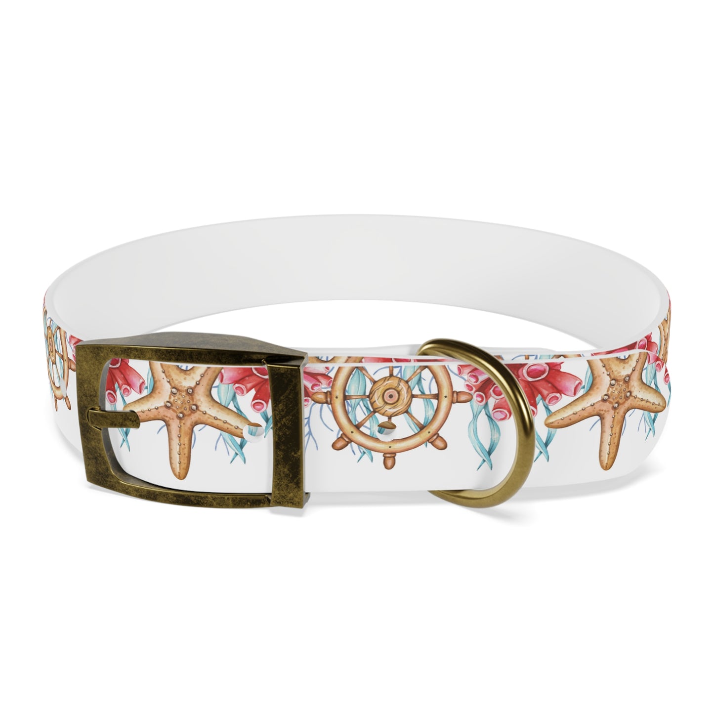 Starfish n Wheel Dog Collar