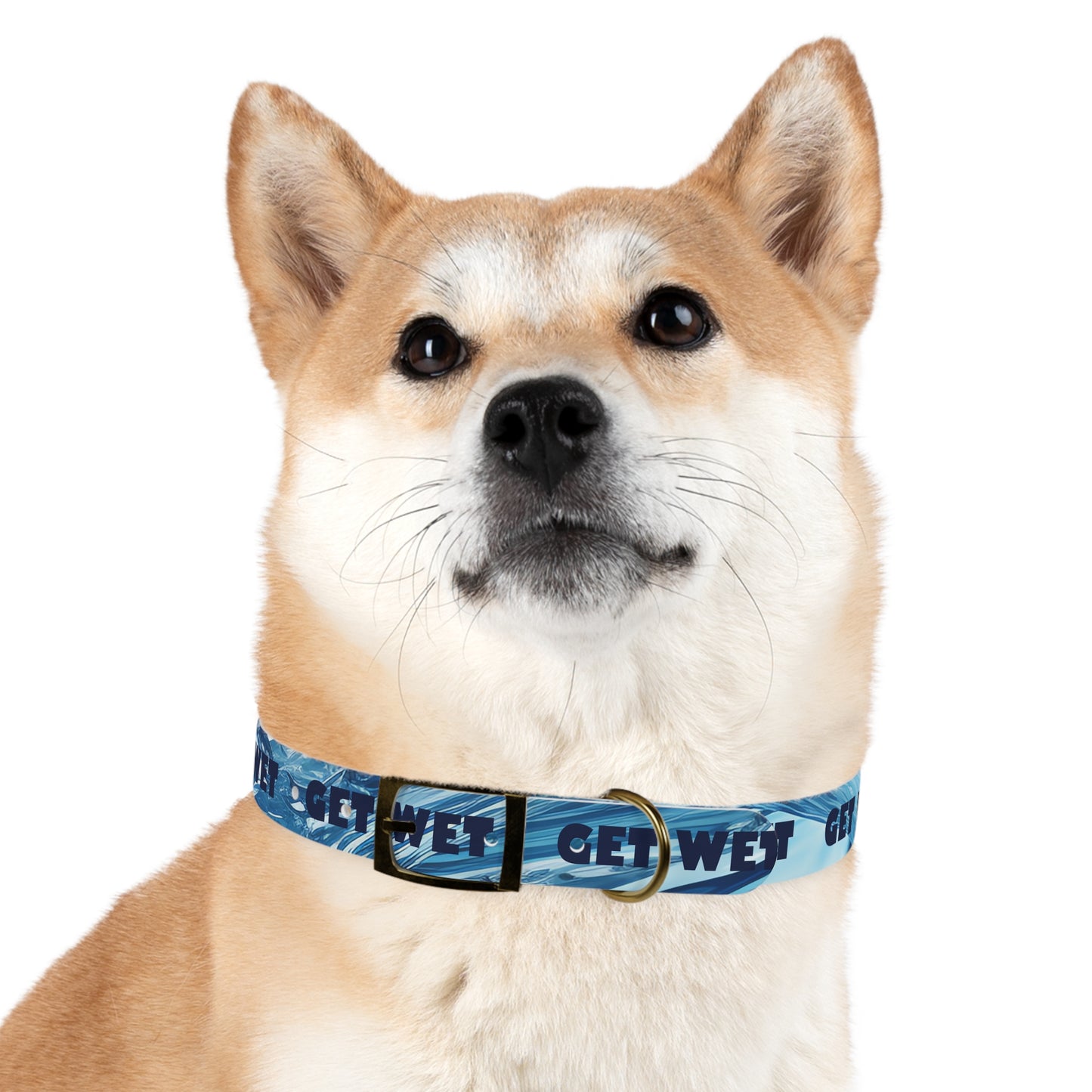 Get Wet Dog Collar