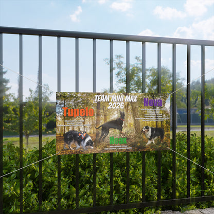 TEAM MINI MAX  Banner