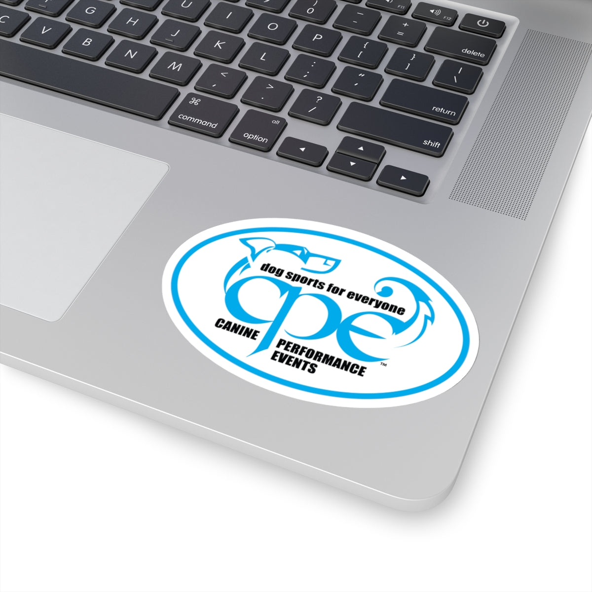 CPE OVAL   Stickers