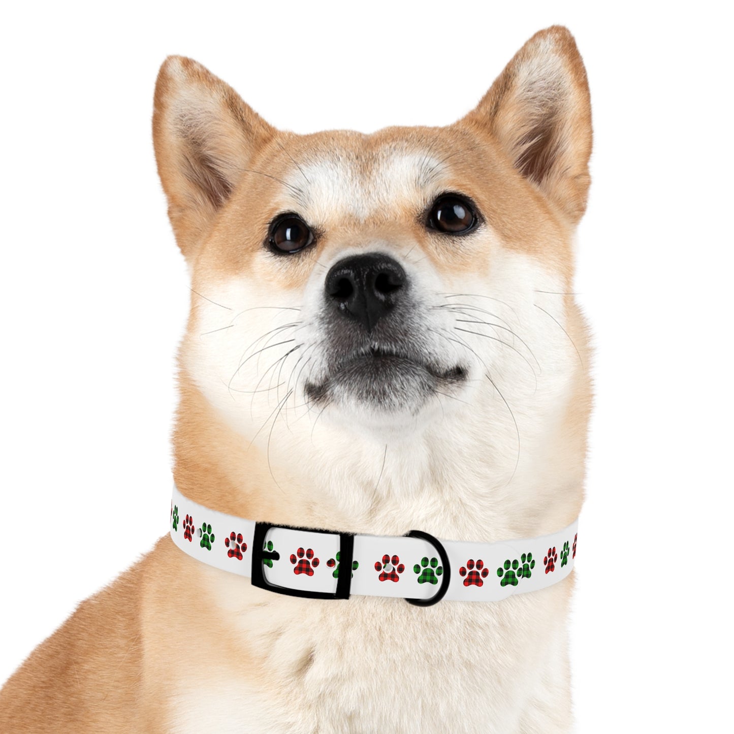 HOLIDAY PLAID  PAWS  Dog Collar