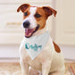 IN HARMONY K9 - dog bandana