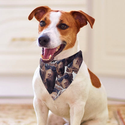 FOXY LADY _ LAB _ COLLAGE FACE DESIGN - customized dog bandana