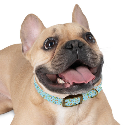 DIVING FROG  Dog Collar