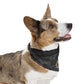 GOLD RUSH FLYBALL Pet Bandana Collar