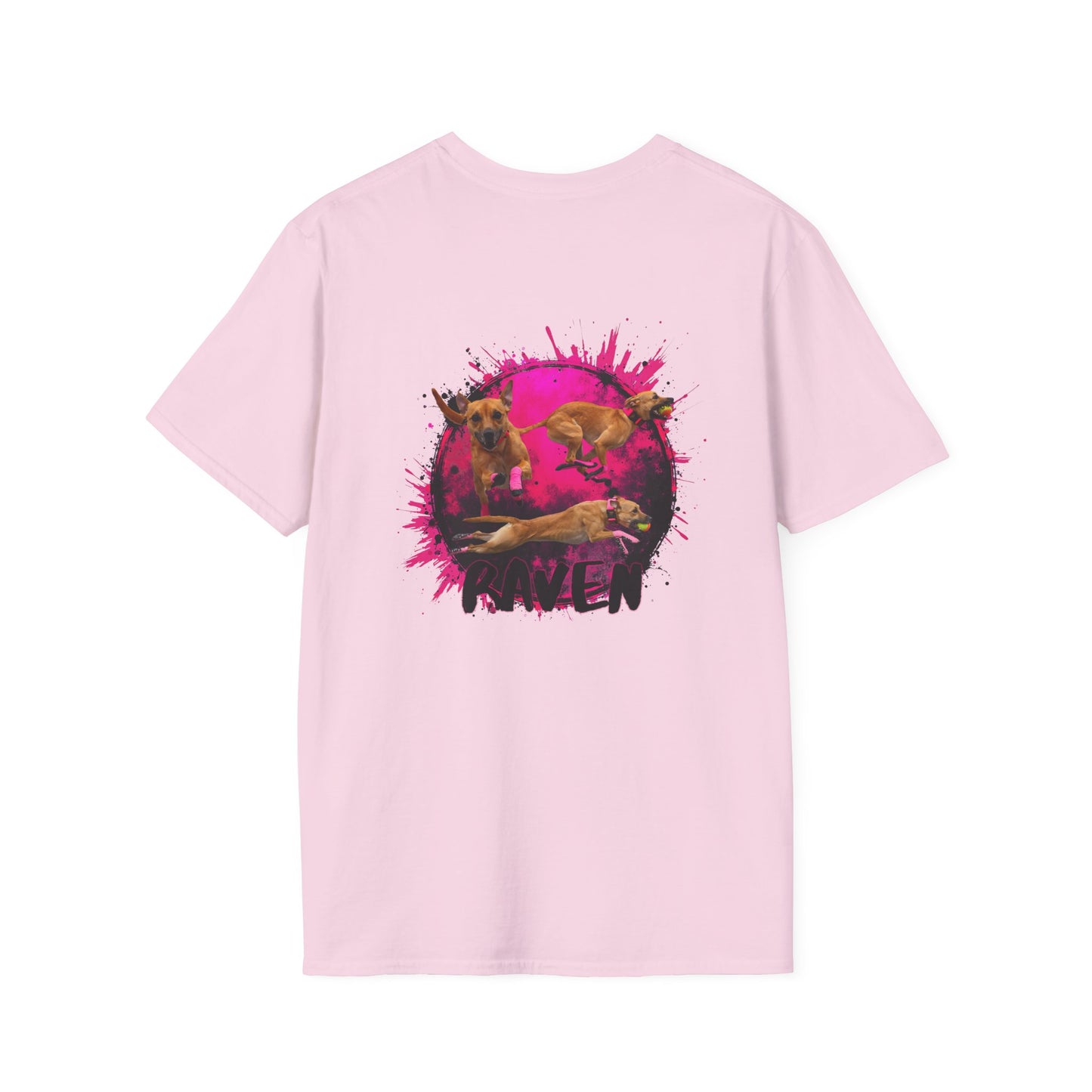 RAVEN Unisex Softstyle T-Shirt
