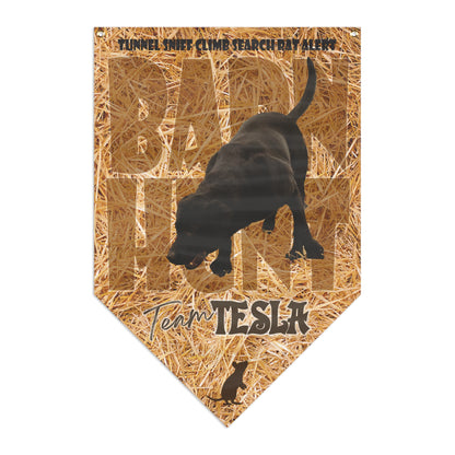 BARN HUNT - Tesla Pennant Banner