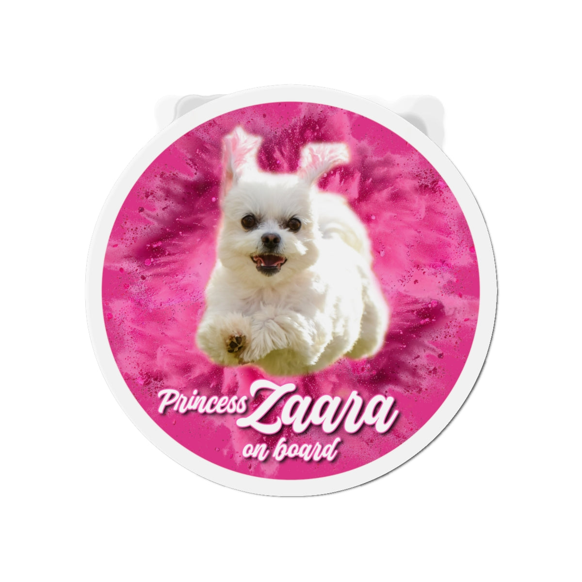 ZAARA Magnet 4