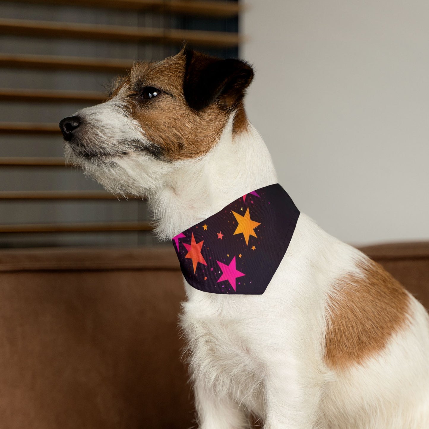 PINK ORANGE  STARS ON BLACK Pet Bandana Collar