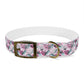 FLORAL ORCA  Dog Collar