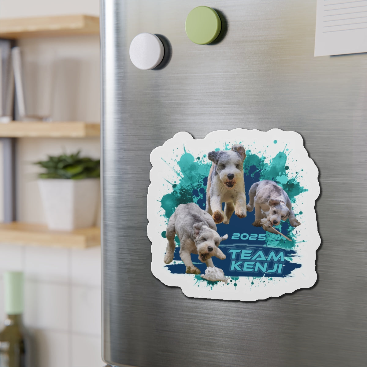 KENJI  Magnets