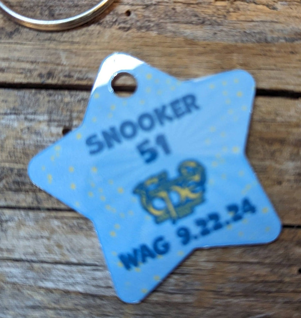 CPE AGILITY BRAG TAGS - METAL STAR TAG