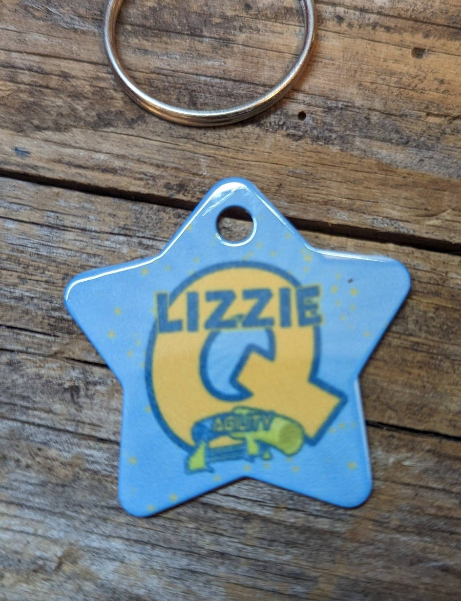 CPE AGILITY BRAG TAGS - METAL STAR TAG