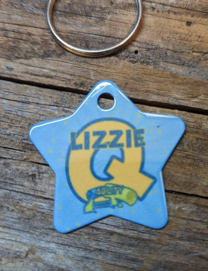 CPE AGILITY BRAG TAGS - METAL STAR TAG