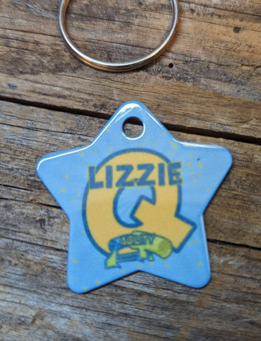 CPE AGILITY BRAG TAGS - METAL STAR TAG